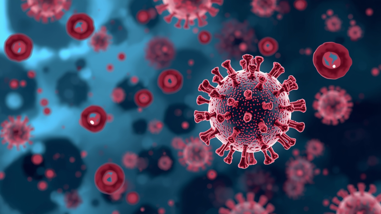 The Epstein–Barr Virus May Play a Key Role in Autoimmune Diseases